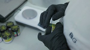 Three years of ARUC: A look back at Regulated Cultivation of Cannabis