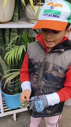 1.8K views · 63 reactions | Snake plant Care Tips from our little gardener Agrim Kalshan. . . . #littlegardeners #plant #garden #motherinlawplant #planttip #gardeninspiration #gardening #trending #kids | Tishu Green Planet | Facebook