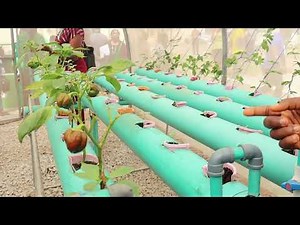 INCiTiS-FOOD Living Lab Introduction