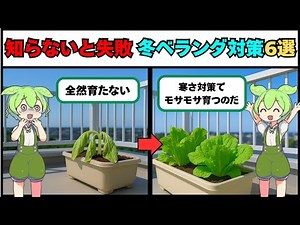 Grow vegetables on your balcony even in winter! 7 foolproof techniques [You'll be missing out if ...