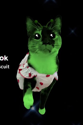 Funny Alien Cat Memes That Will Make You Laugh
