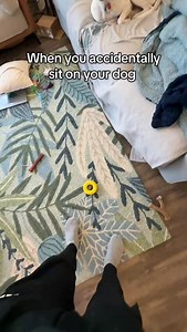 I’m so clumsy! #doggy #memes #funny #gyatt #wtf | MisterMainer