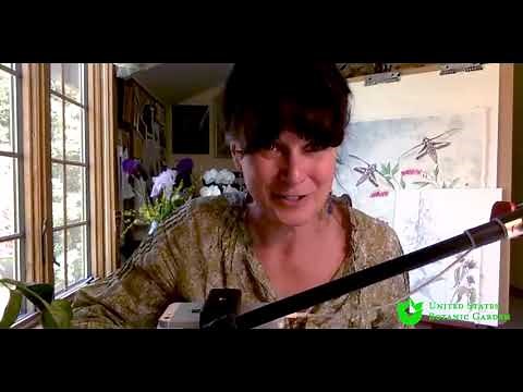 Botanical Drawing 101 - Program Recording