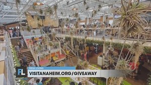 What to do during your next trip to Anaheim, California