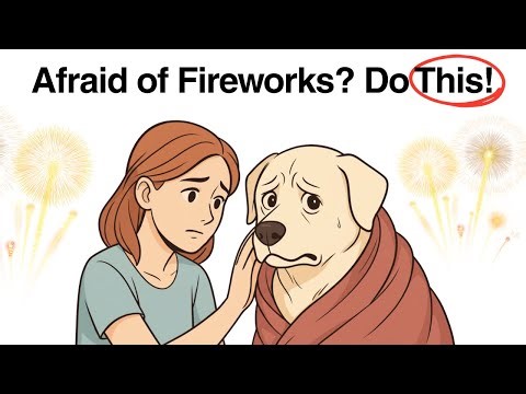 How to PROTECT Your Dog from FIREWORKS — Easy Tips!