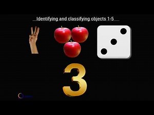 Identifying and Classifying objects 1-5