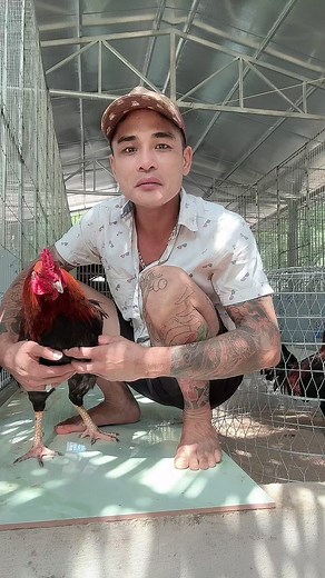 - E nhỏ mới nhú 😜 #xamvuitiktok #dammegachoi #xuhuong #niemvuimoingay