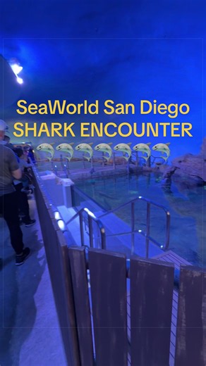 New SeaWorld San Diego Shark Encounter Re-Opens