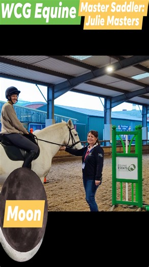 🐴🔨 WCG Equine is thrilled to be working with Society of Master Saddlers qualified saddle fitter, Julie Masters. The Equine Centre has a saddler on site most weeks from September until each horse's saddle has been assessed and adjusted to suit his current shape. Whilst this task is never really completed it is key all tack (bridle/saddle) fits the horse for his well-being and ridden work. 👤🔨 Julie Masters: https://www.equinefittersdirectory.org/directory/julie-masters/ www.wcg.ac.uk | Moreton