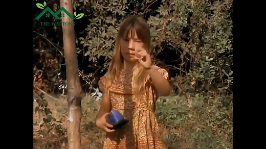 The Waltons - Season 1 Episode 1 - THE FOUNDLING # 2. | Tien & Jack 2025