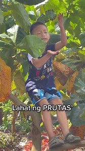 Golden’🎼Fruit Salad version’ composed by: IHADO😅 #funny #song #creativity | Kasalawayon