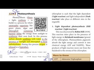 10th SCIENCE BIOLOGY Unit 12 part-1 short answers| photosynthesis|Plant Anatomy and Plant Physiology