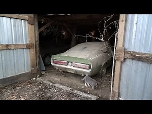 1967 Shelby GT500 Found In Iowa Barn