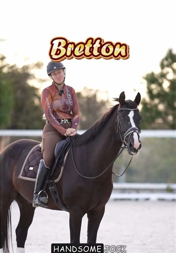 Meet Bretton ✨ Athletic, handsome (and fully aware of it), and gearing up for his Second Level debut this season. Big moves, big presence, and a whole lot to be excited about. #horse #horsesontiktok #fancy #intro #dressage