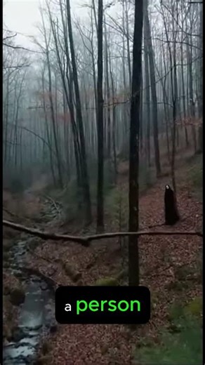 Drone Captures Something Hiding in the Woods… #Horror #Forest #storymodehorror