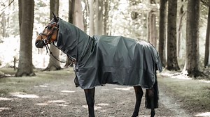 Be ready for bad weather with the Kentucky Hurricane Raincoat Rug! 100% waterproof with a mesh lining, these are great for use in between classes at shows, or when leading your horse in-hand out hacking ☔ https://www.redpostequestrian.co.uk/horse-rugs/exercise-rugs/kentucky-hurricane-raincoat-rug--grey__200111 | Redpost Equestrian | Facebook