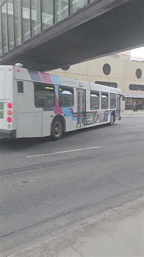Calgary Transit New Flyer Bus.