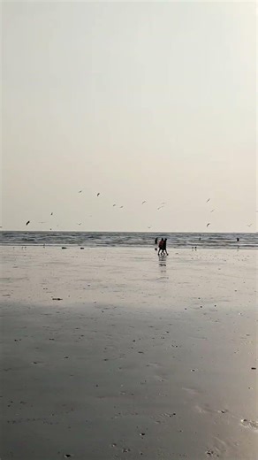 There was a lot to write but could not write