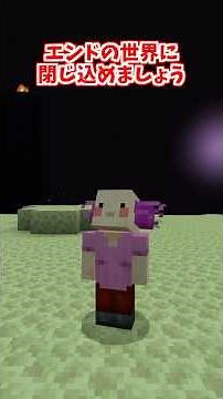 道を塞いでくる奴の末路 #minecraft