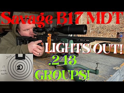 Savage B17 MDT Precision Rimfire Rifle 17HMR In DEPTH Range Review!