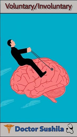 Voluntary and Involuntary Actions 🤔: How Your Brain Controls Movement | #shorts #brain #humanbrain