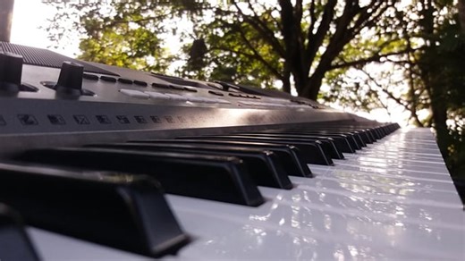 Piano, Trees, Music. Free Stock Video