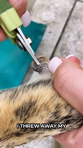 🚨 Is nail trimming stressful for your dog? Switch to the Furrve Silent Nail Grinder™ — safe, quiet, and easy for anxious pets. 🐾 | Happy Pup Insider