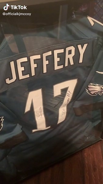 Custom NFL Jersey Transformation: Alshon Jeffery