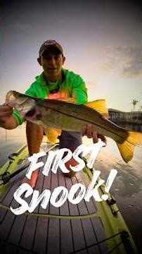 First Snook on a SUP — From My Backyard at Sunrise First Snook Short
