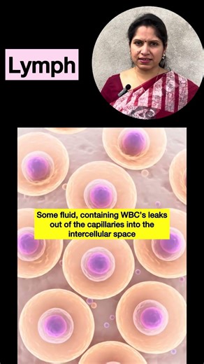 Lymph Class 10 #drpreetimittal