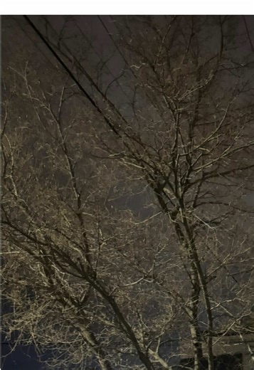 Videos de alex02// (@abrahxm2rz) con “PIXELATED KISSES - Joji”