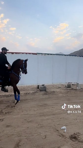 فيديوهات أنشأها Abdulla (@a.s.s.14) باستخدام Law of attraction x Raindance - aoko rachier𐙚🧸ྀི