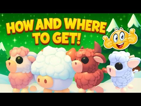 HOW TO GET ANGUS BOX AND PETS IN ADOPT ME!