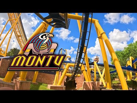 Montu On Ride POV 4K - Busch Gardens Tampa