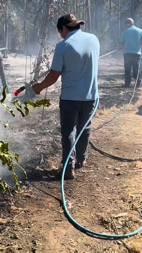 Criadero Los Tres Arturos on Instagram: "Noche del terror el fuego partió a las 3 AM es difícil entender cómo hay gente tan enferma que provoca incendios en forma intensional"