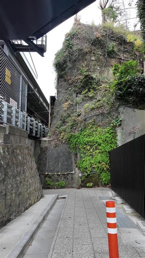 横浜市の観光スポットガイド