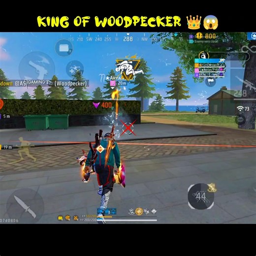 Woodpecker King 😱☠️