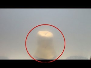 NEW HOMUNCULUS - 2 Homunculi fused to Form a New Creature?