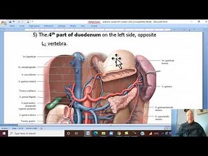 Anatomy GIT Module in Arabic 49 ( Abdominal Aorta) , by Dr, Wahdan