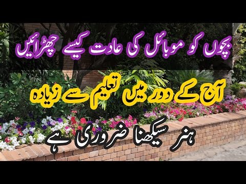 Sirf Taleem Nhi Skill Bhi Zaroori Hai