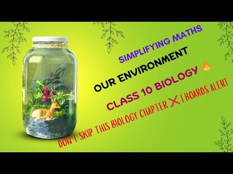 Our Environment | Class 10 | Smart Study Tips & Notes