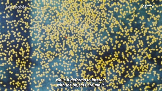 13K views · 52 reactions | Developed by a team of scientists at Seoul...