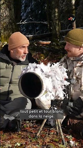 Photographe animalier, la patience à l'état pur