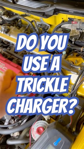 Do you use a trickle charger? #batterycharger #batterylife #batterysaver