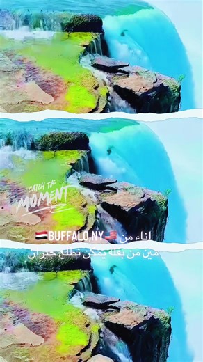 Discover Buffalo, NY: A Vibrant Community