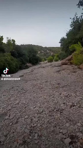 Vidéos de wissem (@wissemmensi2) avec Mawal Gasba Cheb Salih 1 - Cheb Salih