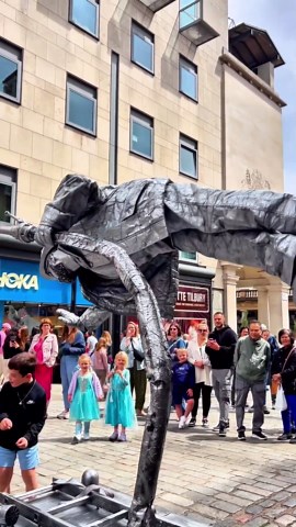 They knew what they wanted.#silvermanstatueofficial #floating #levitating #illusion