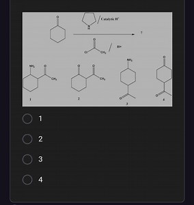 Cyclohexanone reacts with pyrrolidine (catalytic H^+), followed... | Filo