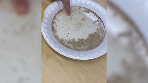 13K views · 145 reactions | Science experiment shows importance of washing hands with soap. #TurnUpTheVolume MORE: https://myfox8.com/news/science-experiment-shows-importance-of-washing-hands-with-soap/ | FOX8 | Facebook