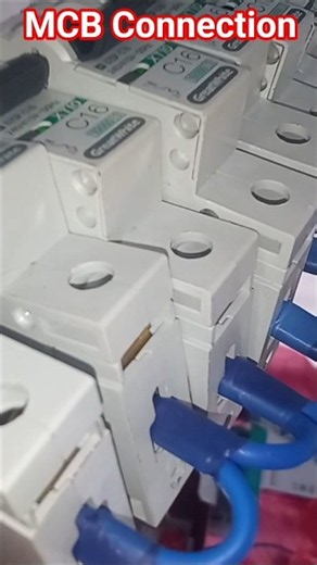 MCB Connection | DB MCB Wiring ▶️ #shorts #mcb #electrician #wiring